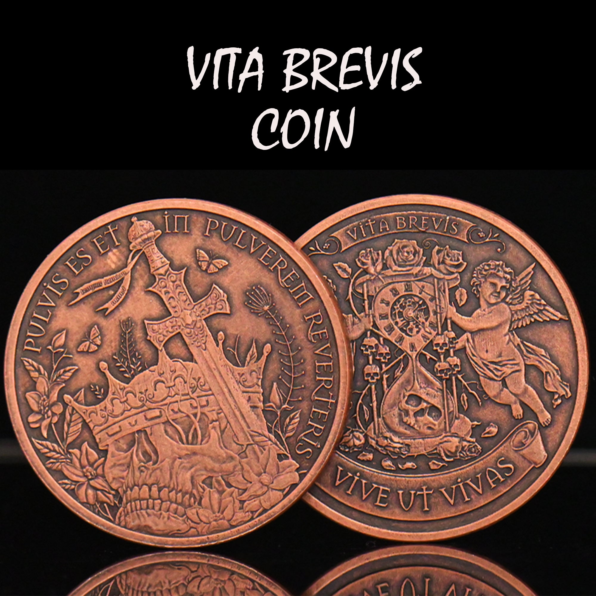 Vita Brevis Coin