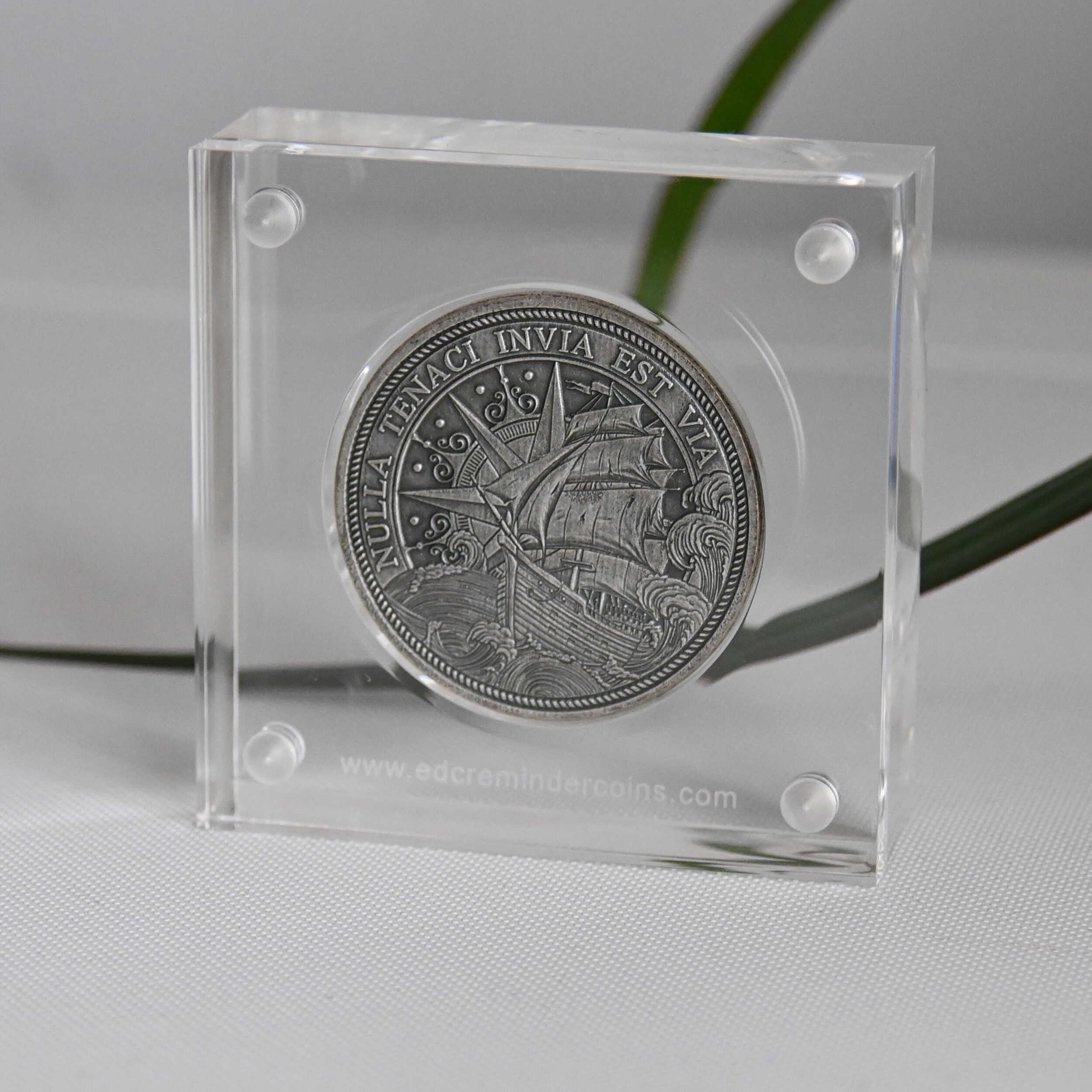 Display for one EDC Reminder Coin