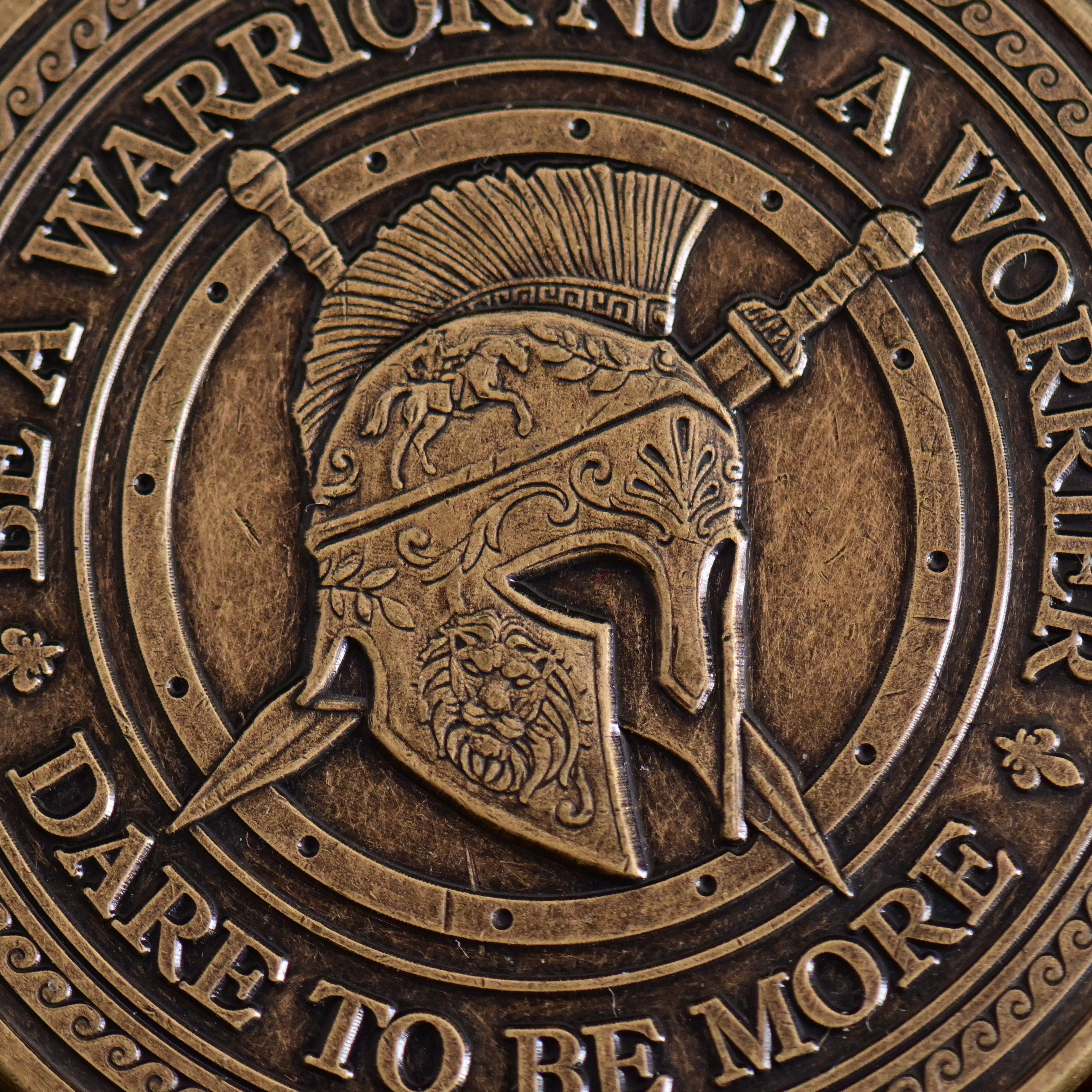 Warrior Mindset Coin