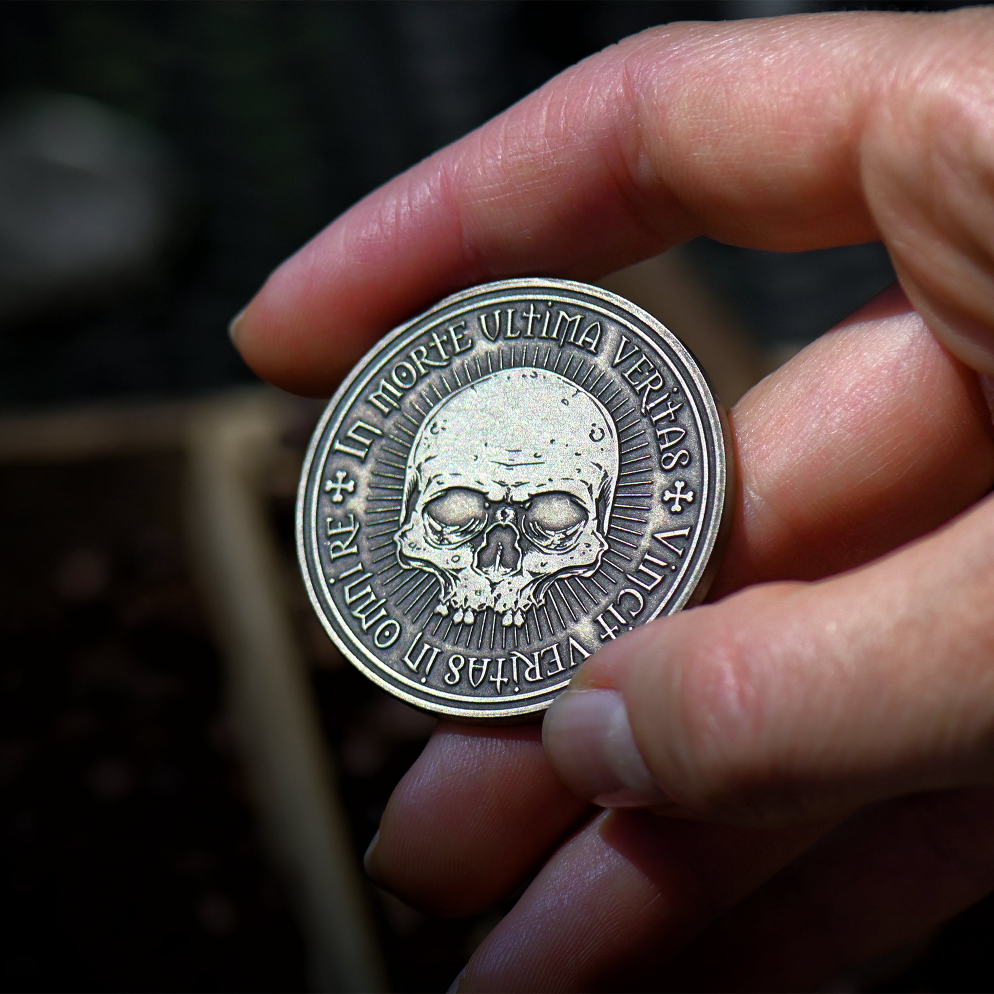 Omnia Vanitas Coin